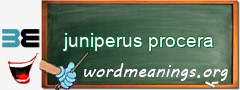 WordMeaning blackboard for juniperus procera